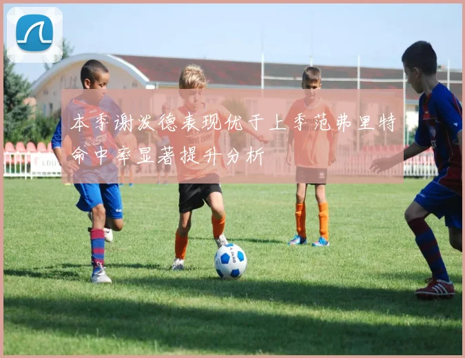 本季谢泼德表现优于上季范弗里特命中率显著提升分析