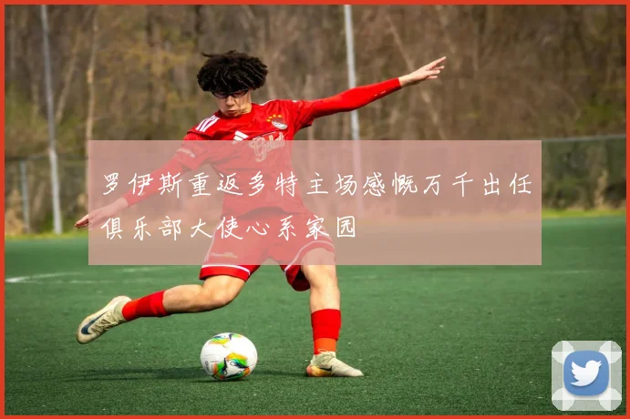 罗伊斯重返多特主场感慨万千出任俱乐部大使心系家园