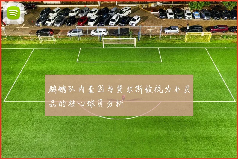 鹈鹕队内奎因与费尔斯被视为非卖品的核心球员分析