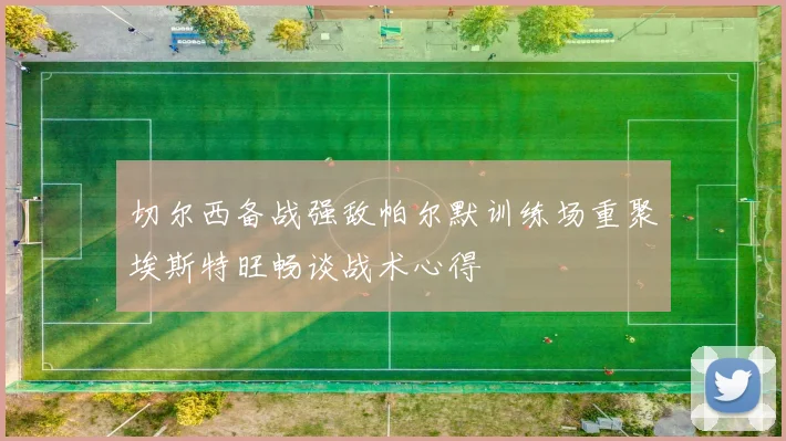 切尔西备战强敌帕尔默训练场重聚埃斯特旺畅谈战术心得