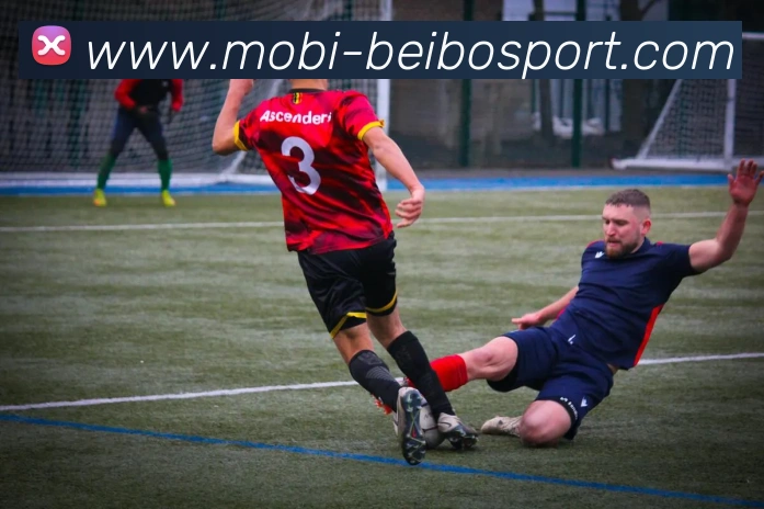 贝博体育平台生态图