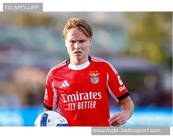 本菲卡计划冬窗出售施耶尔德鲁普目标转会费2500万欧元